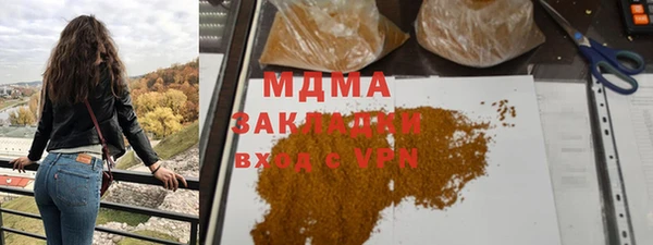 индика Арсеньев