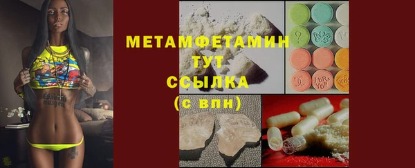 индика Арсеньев