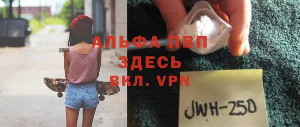 индика Арсеньев
