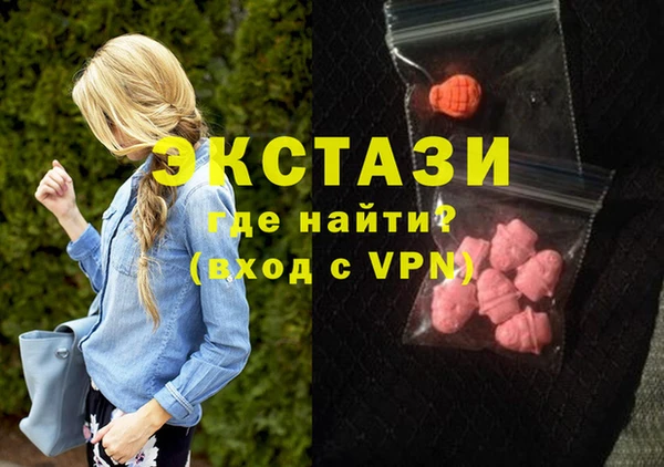 индика Арсеньев