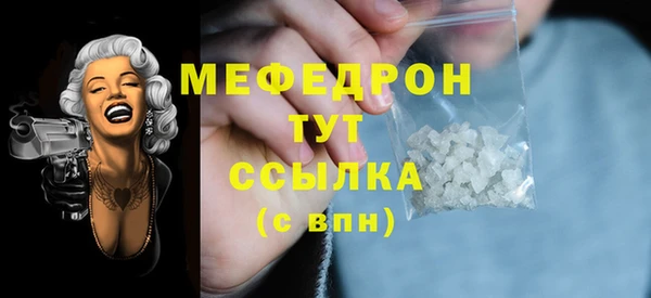 индика Арсеньев