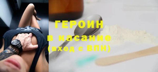 индика Арсеньев