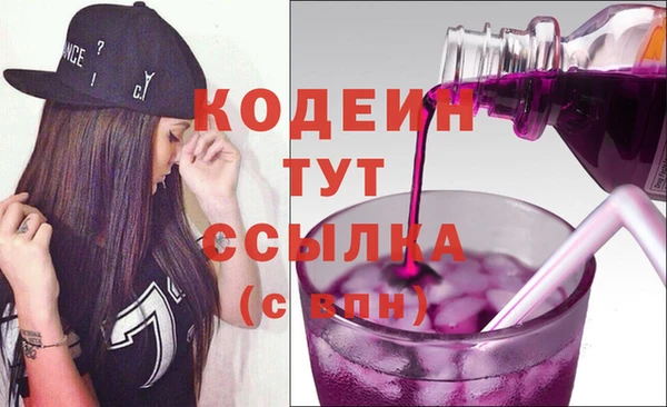 индика Арсеньев