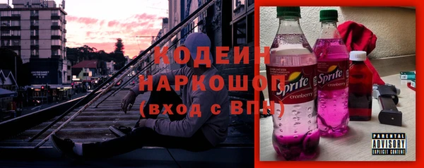 индика Арсеньев