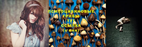 индика Арсеньев