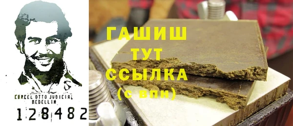 индика Арсеньев